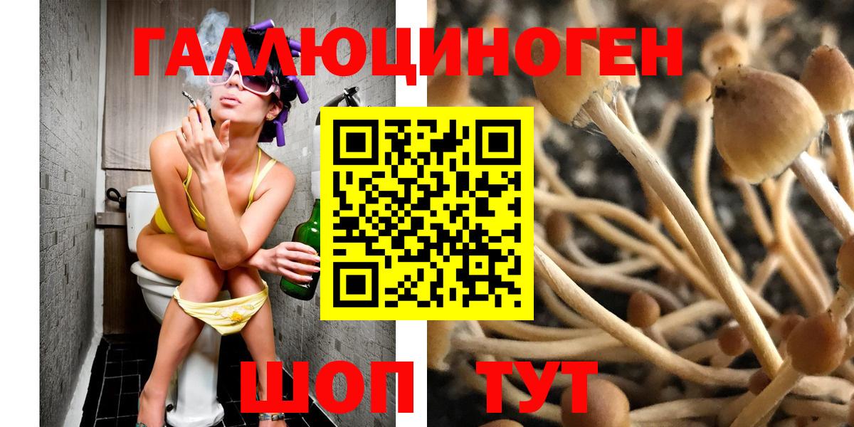Псилоцибиновые грибы ЛСД Киров